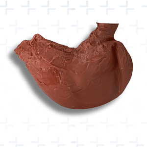 Simulador de estomago