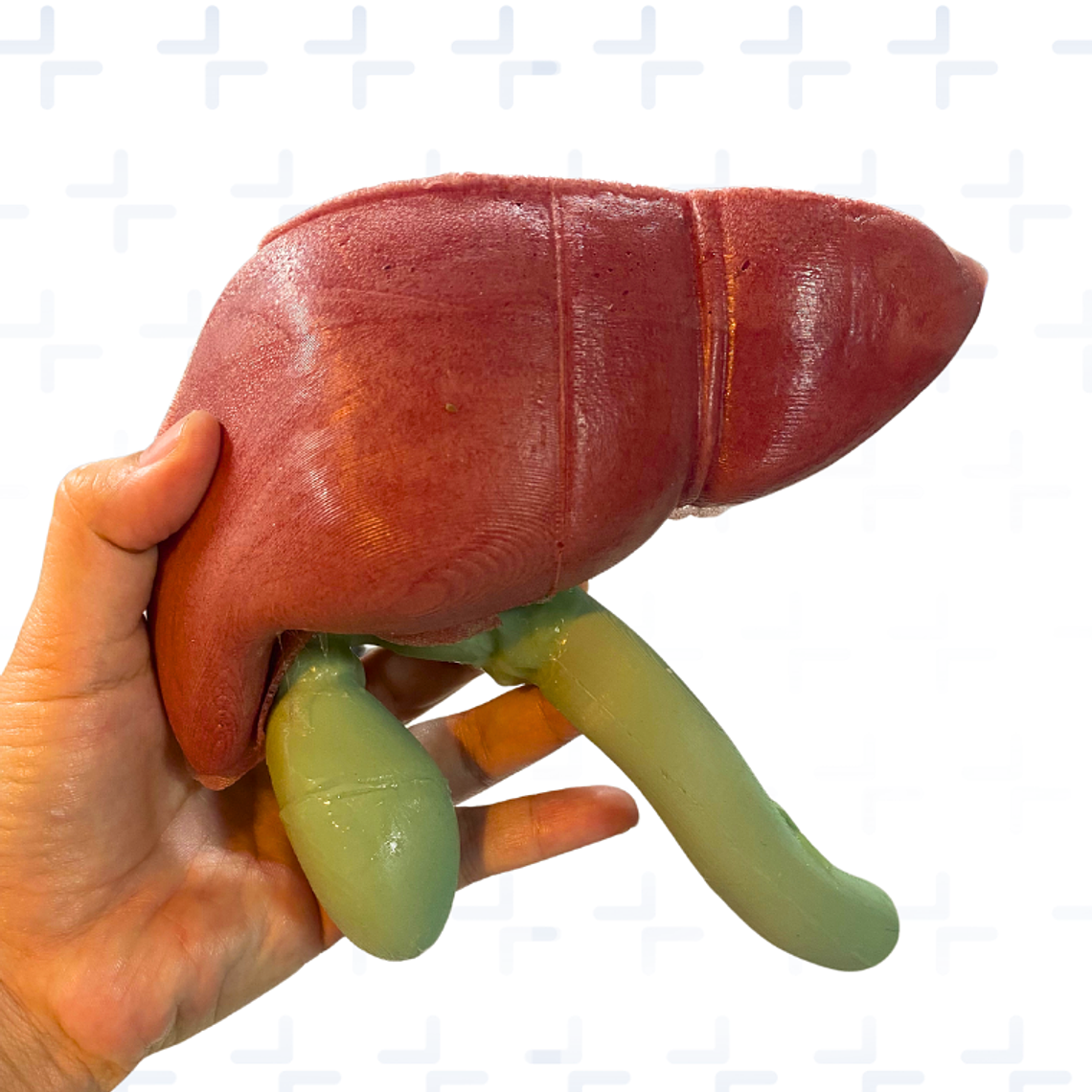 Simulador via biliar 1