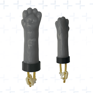 Venopunción veterinaria - Gato