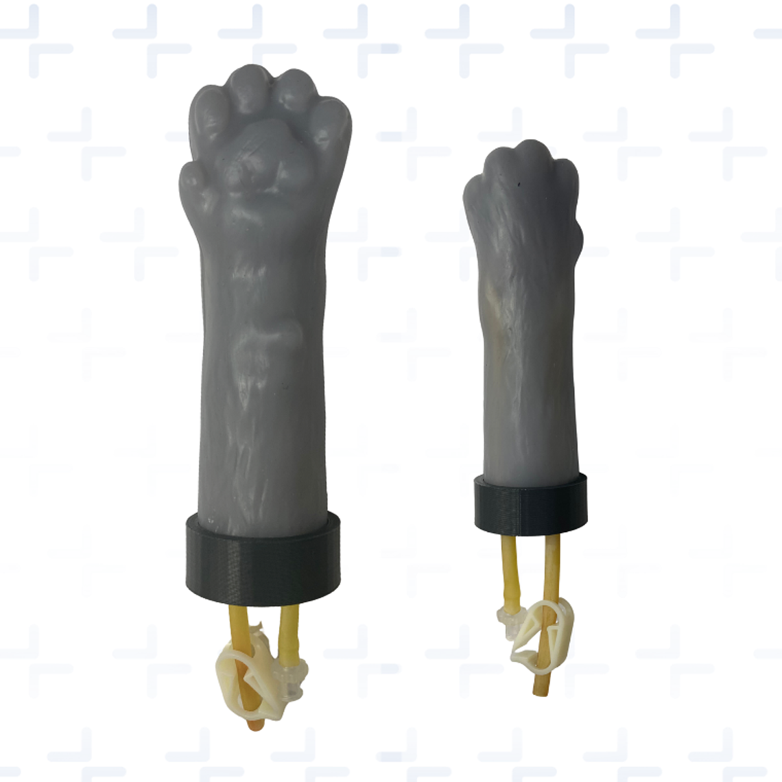 Venopunción veterinaria - Gato 1