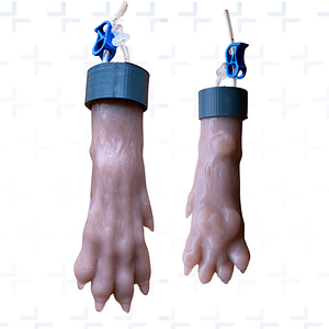 Simulador venopunción veterinaria perro 