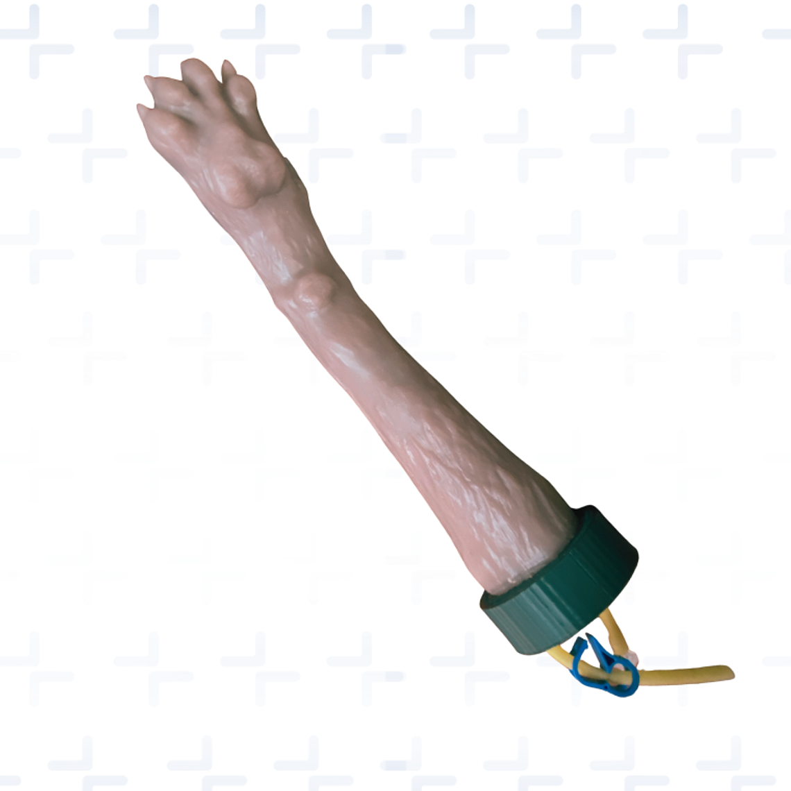 Simulador  venopunción institucional - perro 1