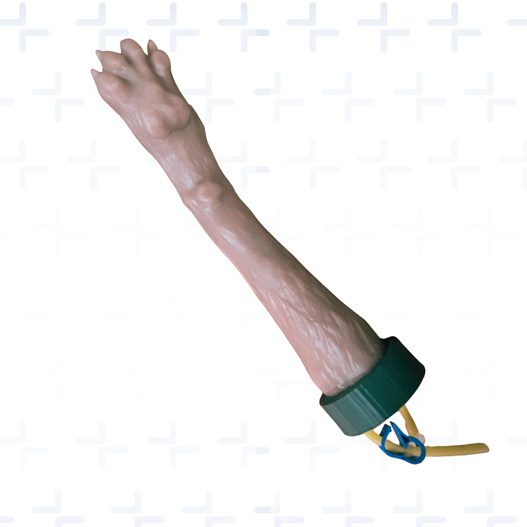 Simulador  venopunción institucional - perro 1