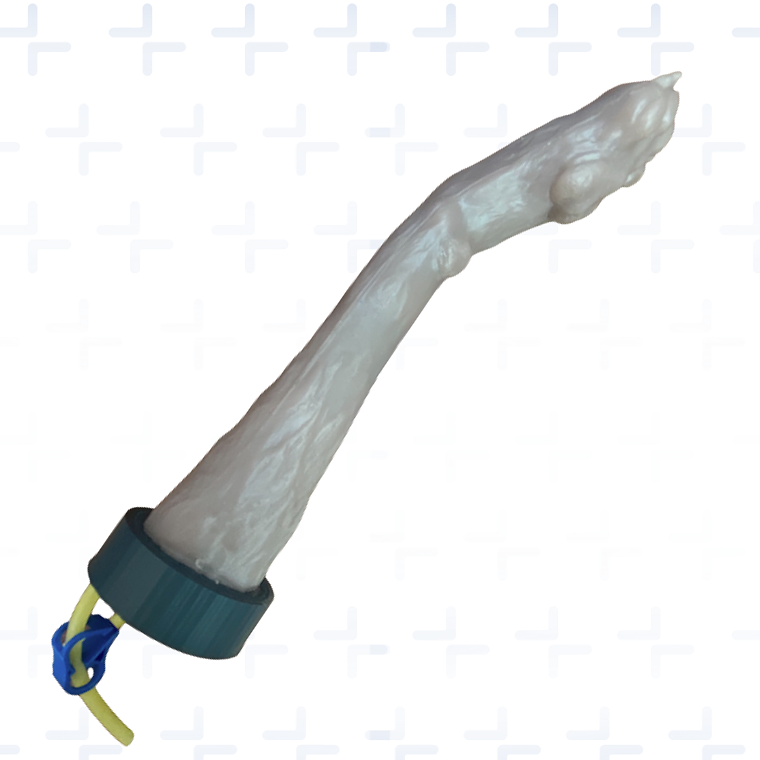 Simulador  venopunción institucional - perro 2