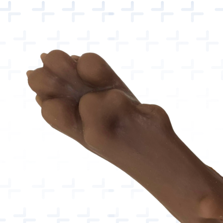 Simulador control de hemorragias canino 2