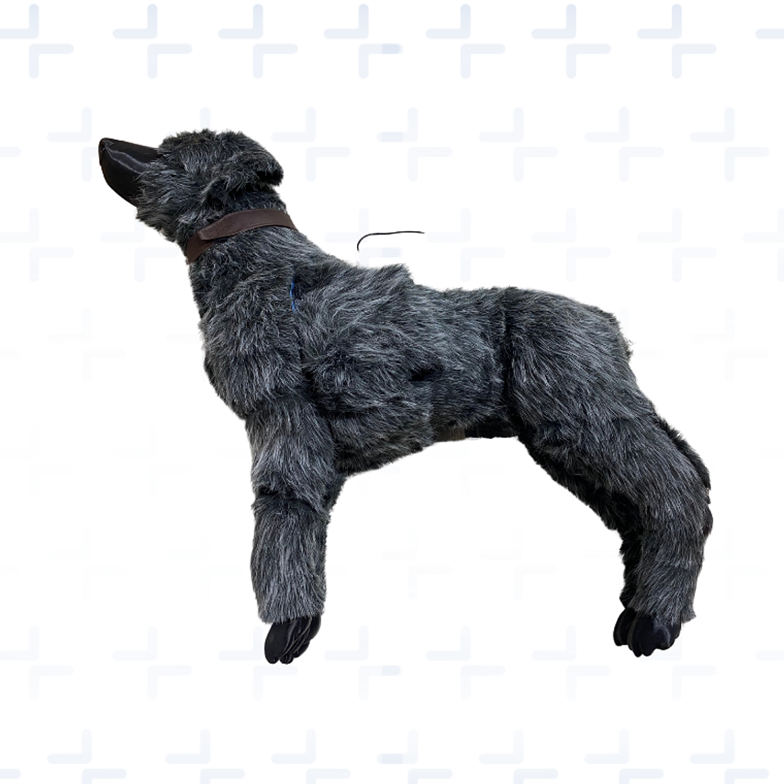 Simulador RCP Perro  - CANINO  1