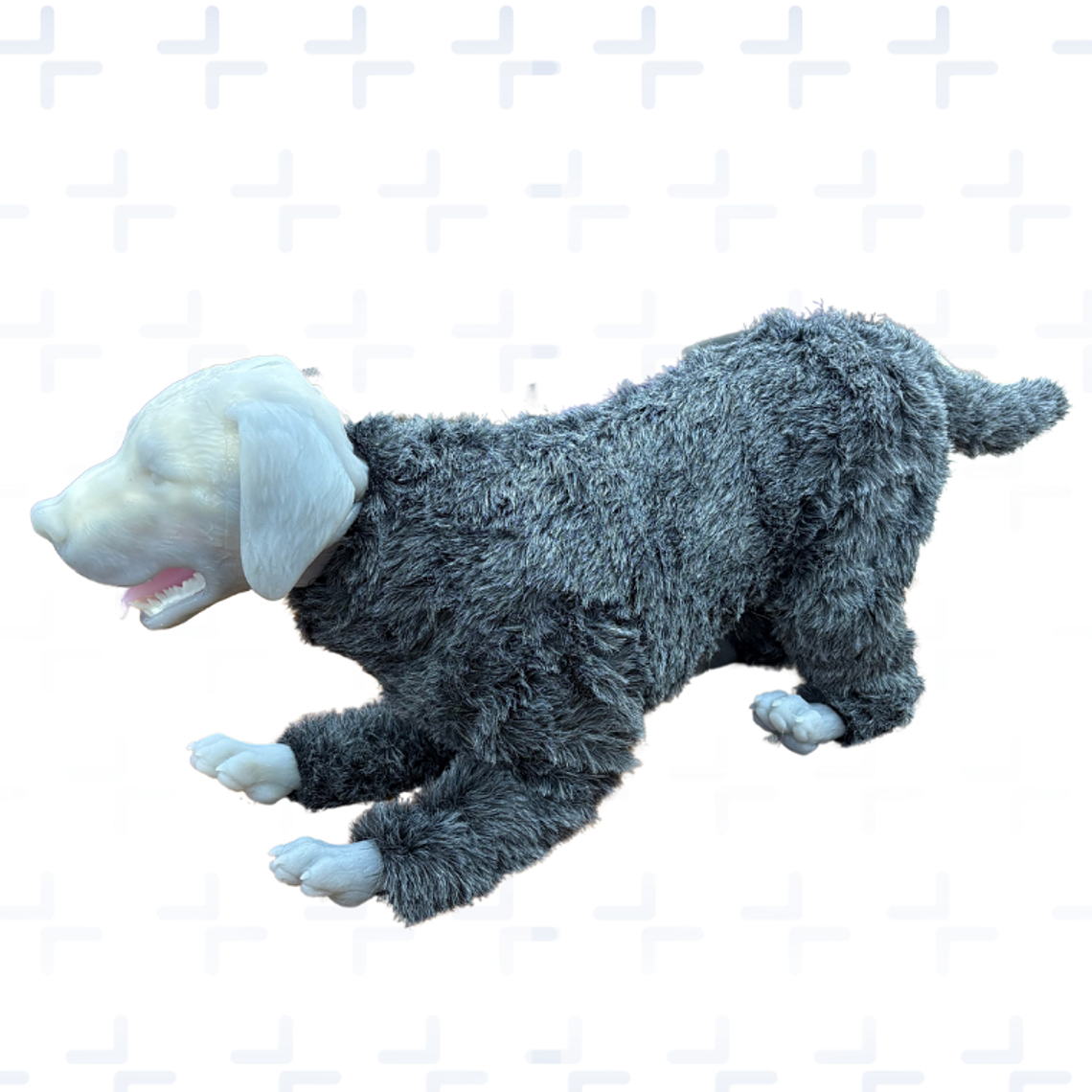 Simulador RCP canino + intubacion endotraqueal 1