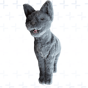 simulador para RCP + intubacion felino