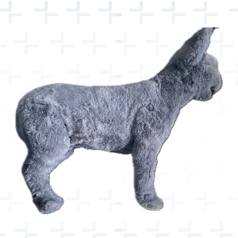 simulador para RCP + intubacion felino 2