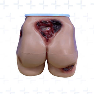 Simulador región sacra y glúteos con lesiones por presion fijas