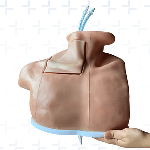 Simulador para paso de cateter venoso central