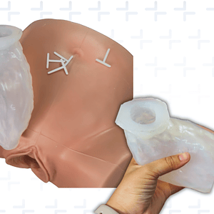 Simulador de colocación de DIU posparto