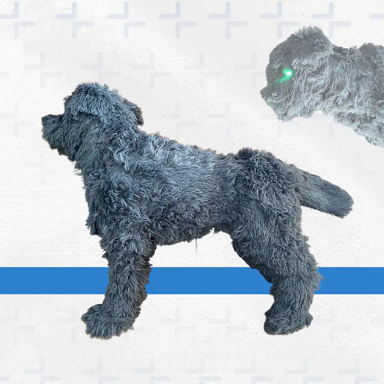 Simulador RCP Perro  - CANINO  1