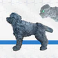 Simulador RCP Perro  - CANINO  - thumbnail 1