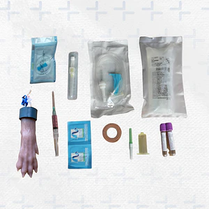 KIT simulador venopunción veterinaria - perro