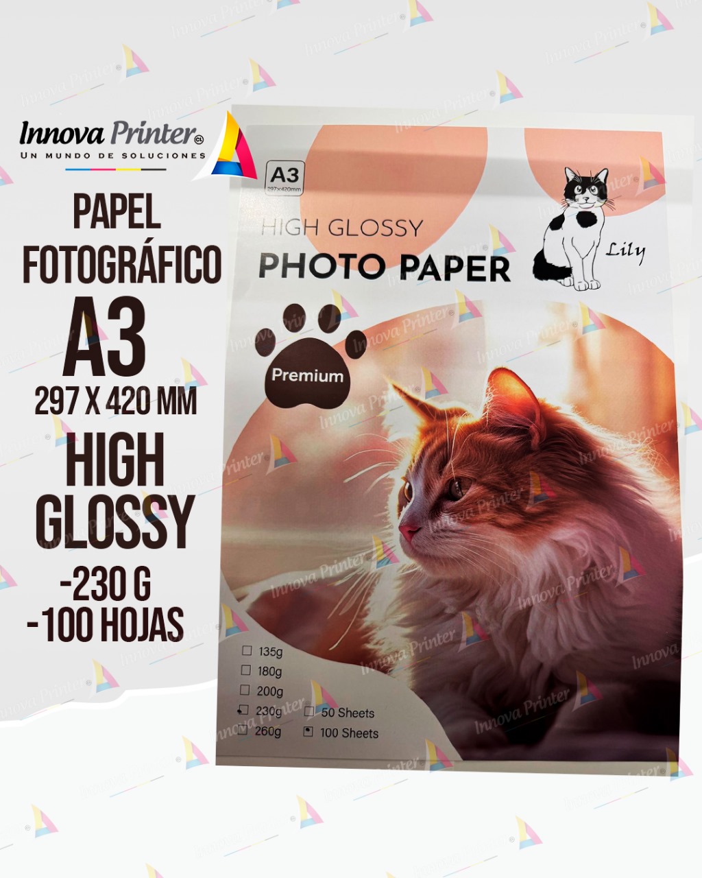 GLOSSY A3  230G  100 HOJAS