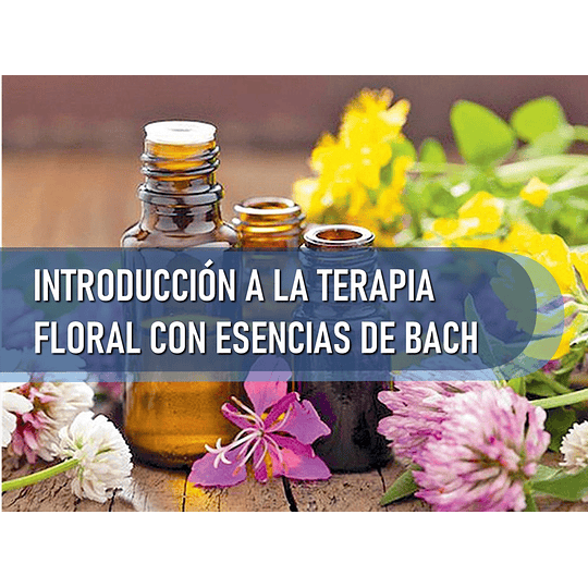 INDUCCIÓN A LA TERAPIA CON ESCENCIAS FLORALES DE BACH (24 HRS) 