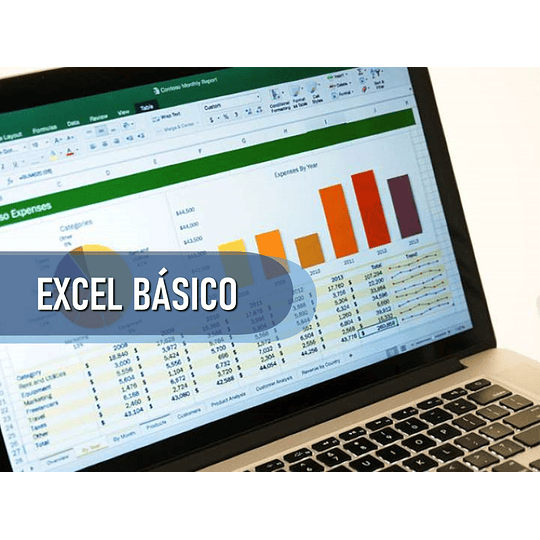 EXCEL BASICO (24 HRS)