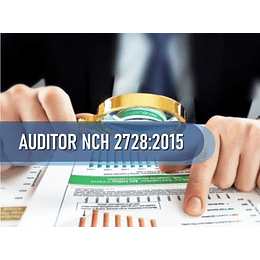 AUDITOR DE LA NCH 2728:2015 (36 HRS) 