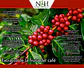 Extracto de Fruto de Café Orgánico | 100 Cápsulas CoffeeFruit - Miniatura 3