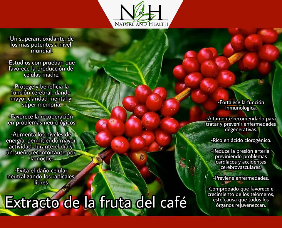 Extracto de Fruto de Café Orgánico | 100 Cápsulas CoffeeFruit 3