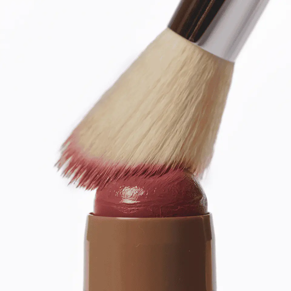 AIME The blush brush 2
