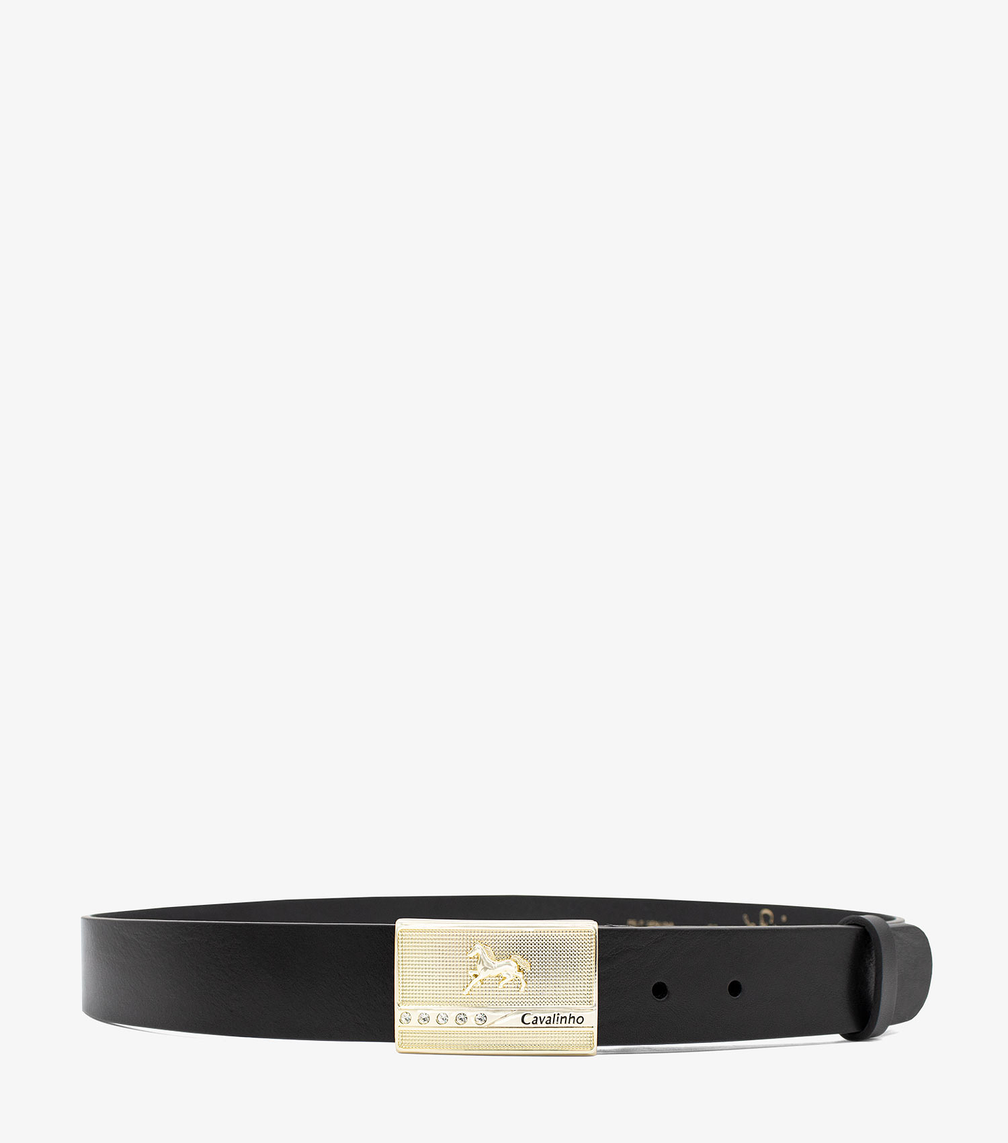 Cinto Desportivo Cavalo Lusitano 1