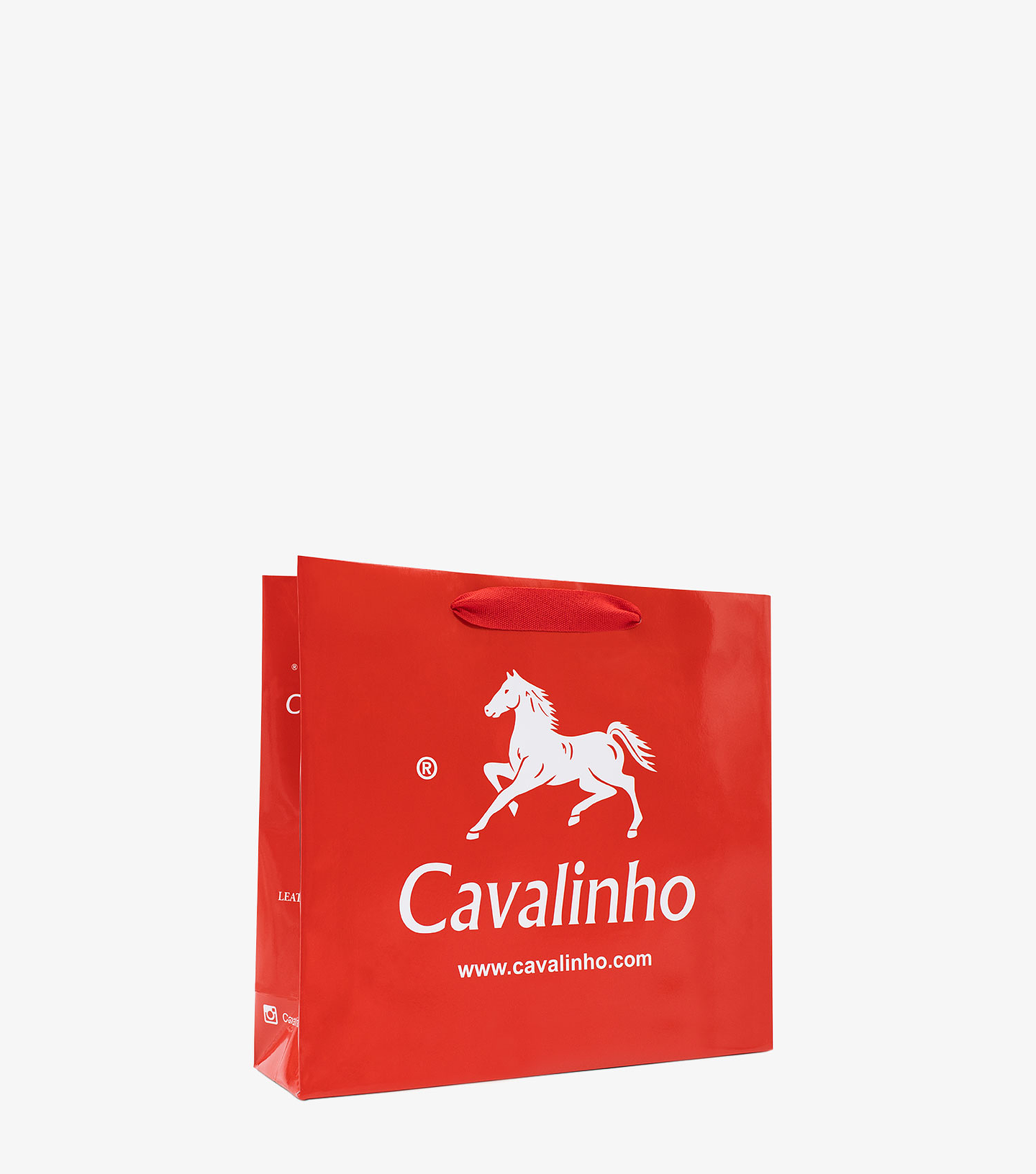 Sacos Papel Cavalinho 5
