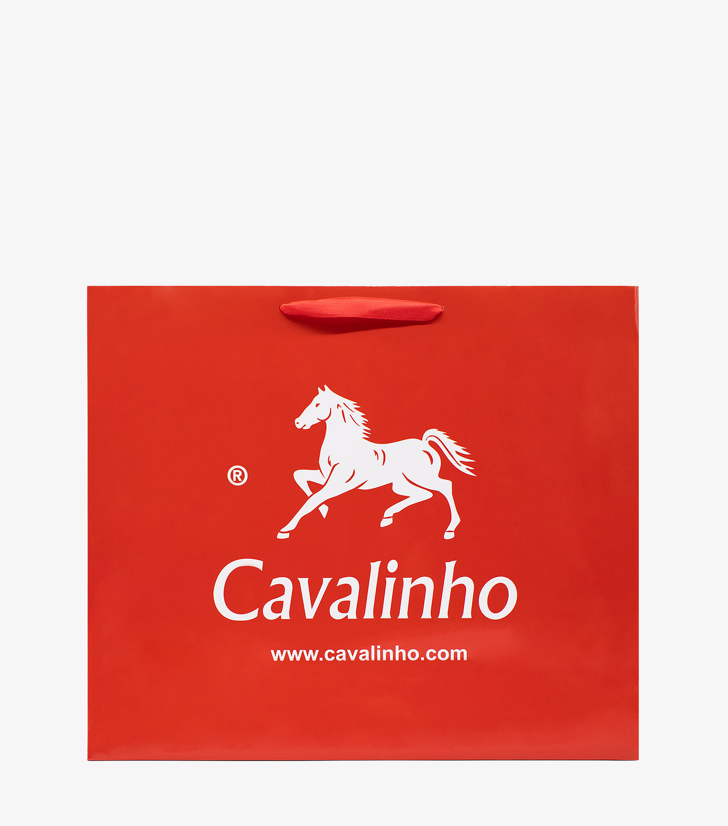 Sacos Papel Cavalinho 6