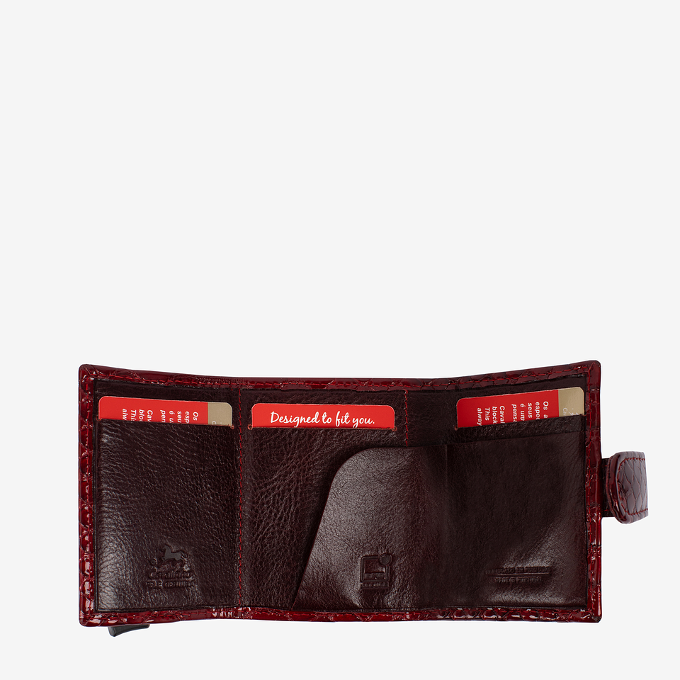 Porta-Cartões Galope 4