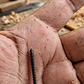 Tornillo Cabeza Plana Cuadro Rosca Sierra Punta Daga 5 x 1 1/2