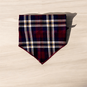 BANDANA | BOTTLE OF WINE