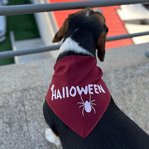 BANDANA | HALLOWEEN