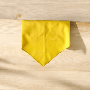 BANDANA | HONEY BEAR