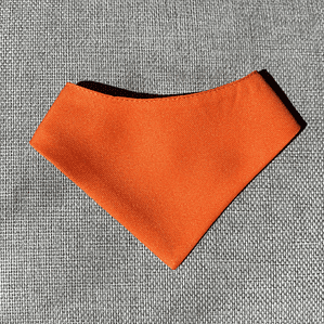 BANDANA CLICK | ORANGE JUICE