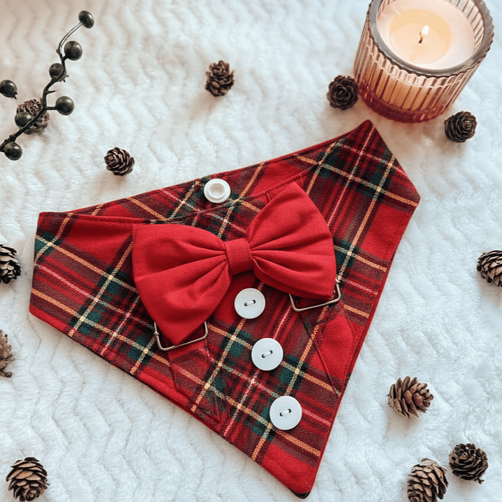 BANDANA CLICK | SANTA´S BOY 1