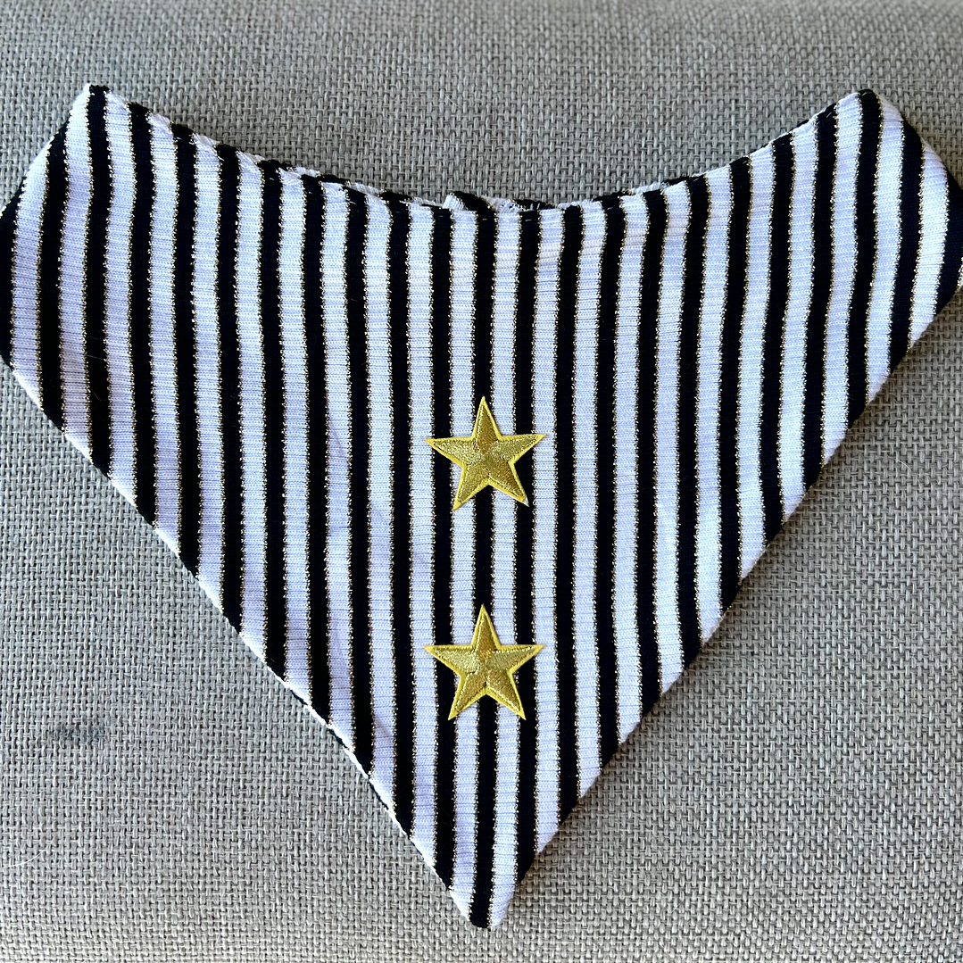 BANDANA CLICK | SHINING STAR 1