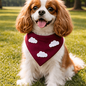 BANDANA CLICK | CLOUDY