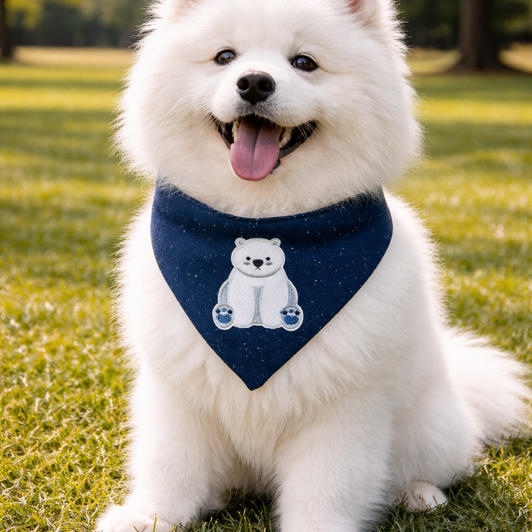 BANDANA CLICK | NORTH POLE 1