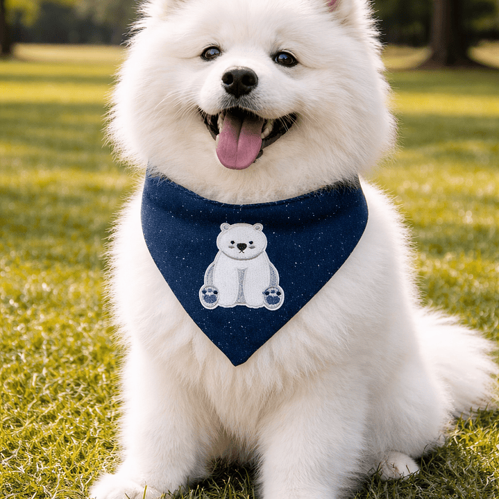 BANDANA CLICK | NORTH POLE 1