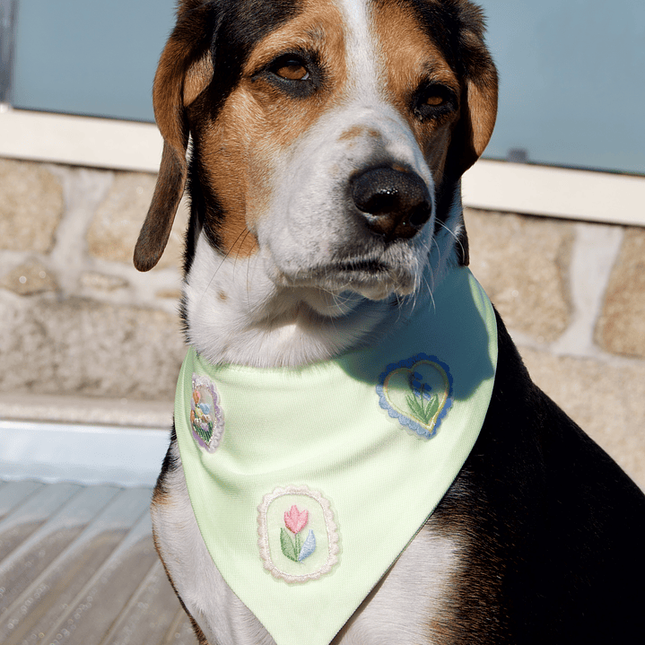BANDANA FLOWER FIELD 2