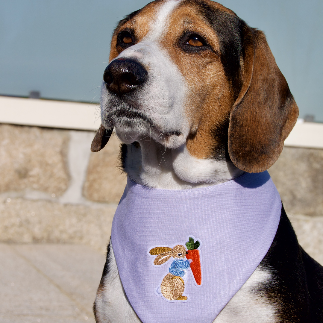 BANDANA BUNNY BLOOM 2