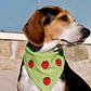 BANDANA CLICK |  BERRY FRESH - thumbnail 2