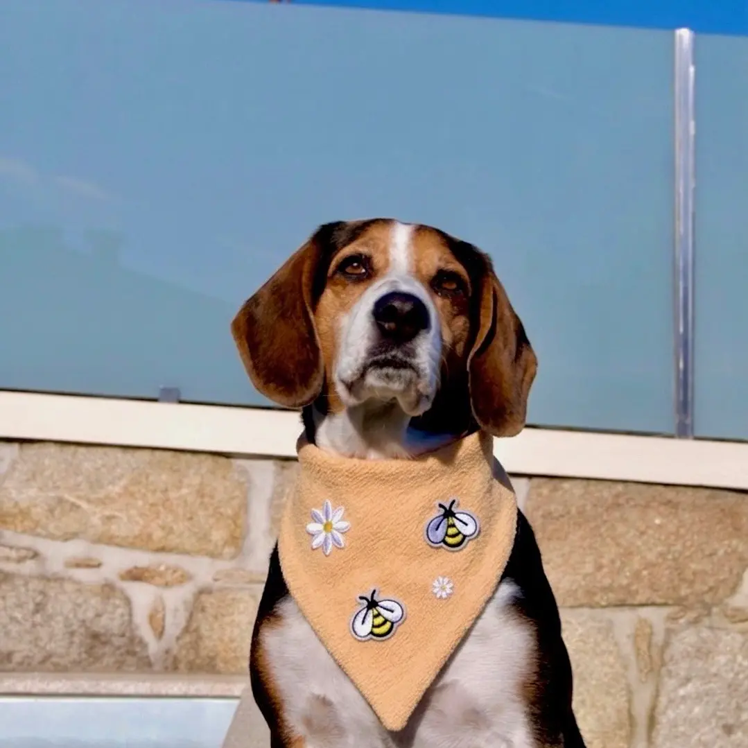 BANDANA CLICK |  DAISY BEE 2