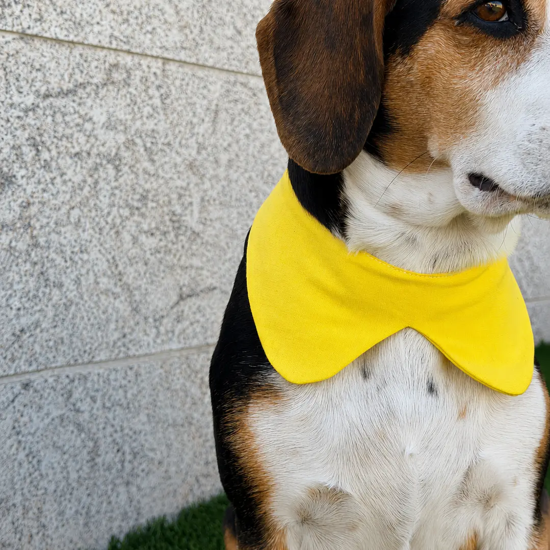 MINI BANDANA | APEROL 3