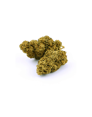 Mango Kush, 10g - Kannabest