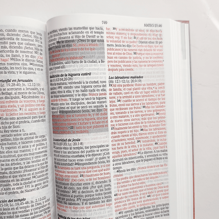 Biblia de promesas para niños Reina Valera 1960 12