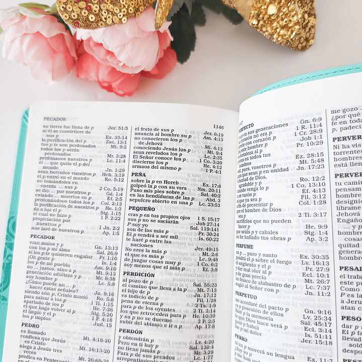 Biblia Reina Valera 1960 Menta  3