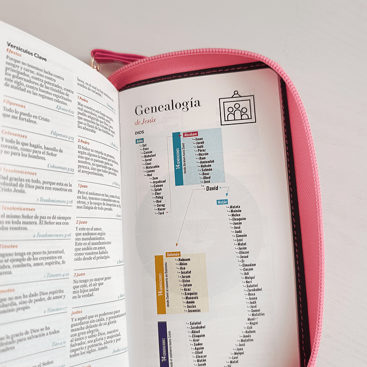 Biblia tipo chequera Reina Valera 1960 7