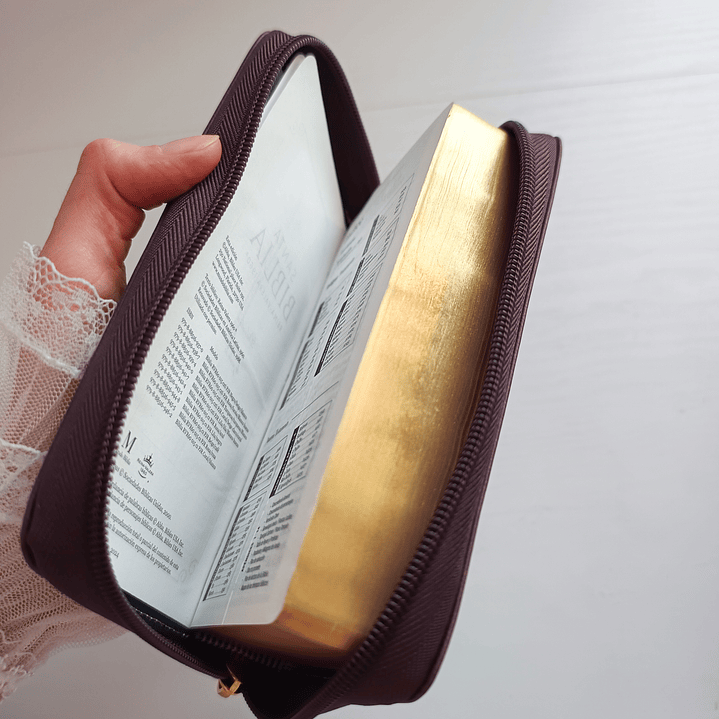 Biblia tipo chequera Reina Valera 1960 20